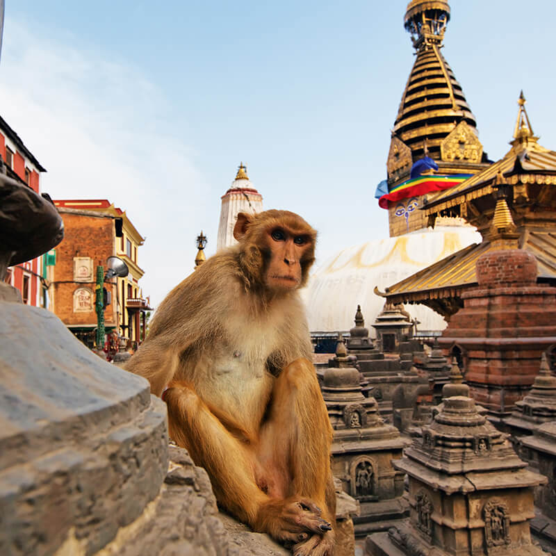 Del Himalaya al Océano: Nepal y Sri Lanka